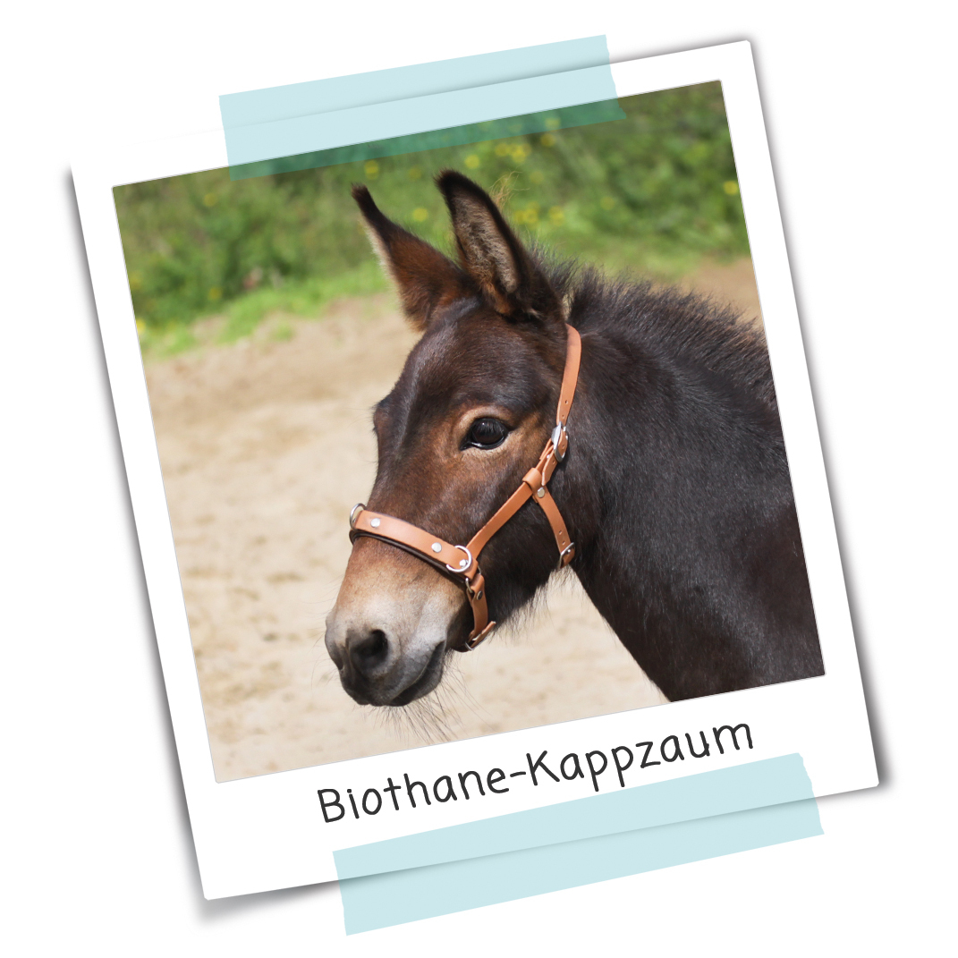 Anleitung #047 - BioThane®-Kappzaum