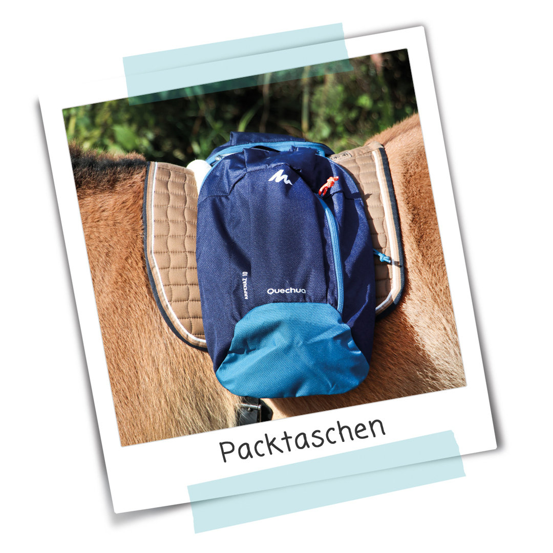 Anleitung #088 - Packtaschen