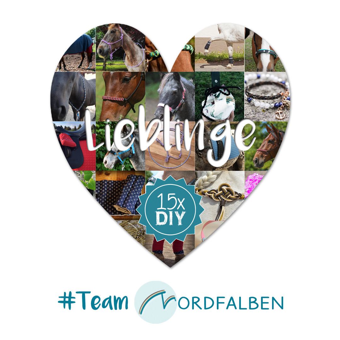 #TeamNordfalben - Lieblinge - eBook