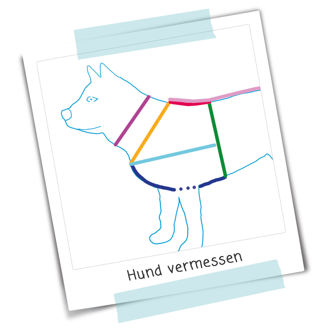 DIY-Anleitung_HundVermessen